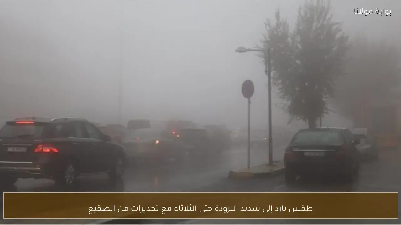 تقلبات جوية ترفع احتمالات تساقط الصقيع مع استمرار موجة البرد حتى الثلاثاء